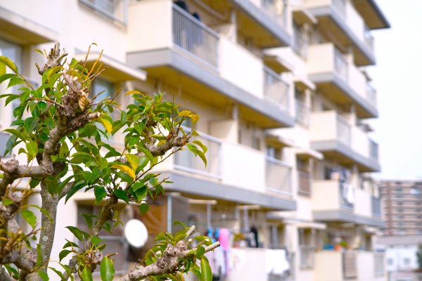 �}���V�����̈ꎺ